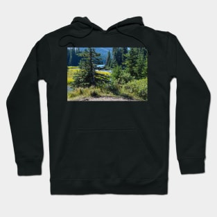 Elbow lake in the Background. Hoodie